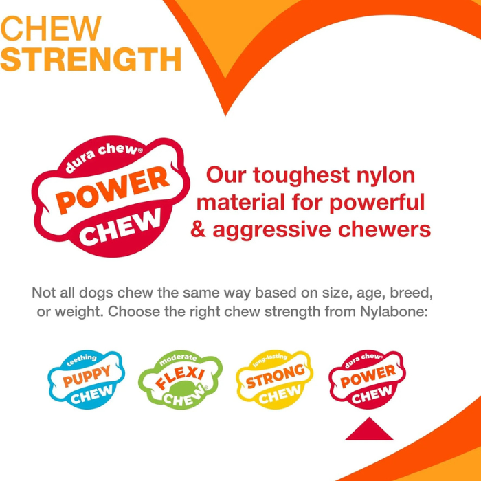 Nylabone Broccoli Power Chew Toy for Dogs, Dog Toys for Aggressive Chewers, Bacon & Cheese Flavor, Large Dogs - Up to 50 lbs