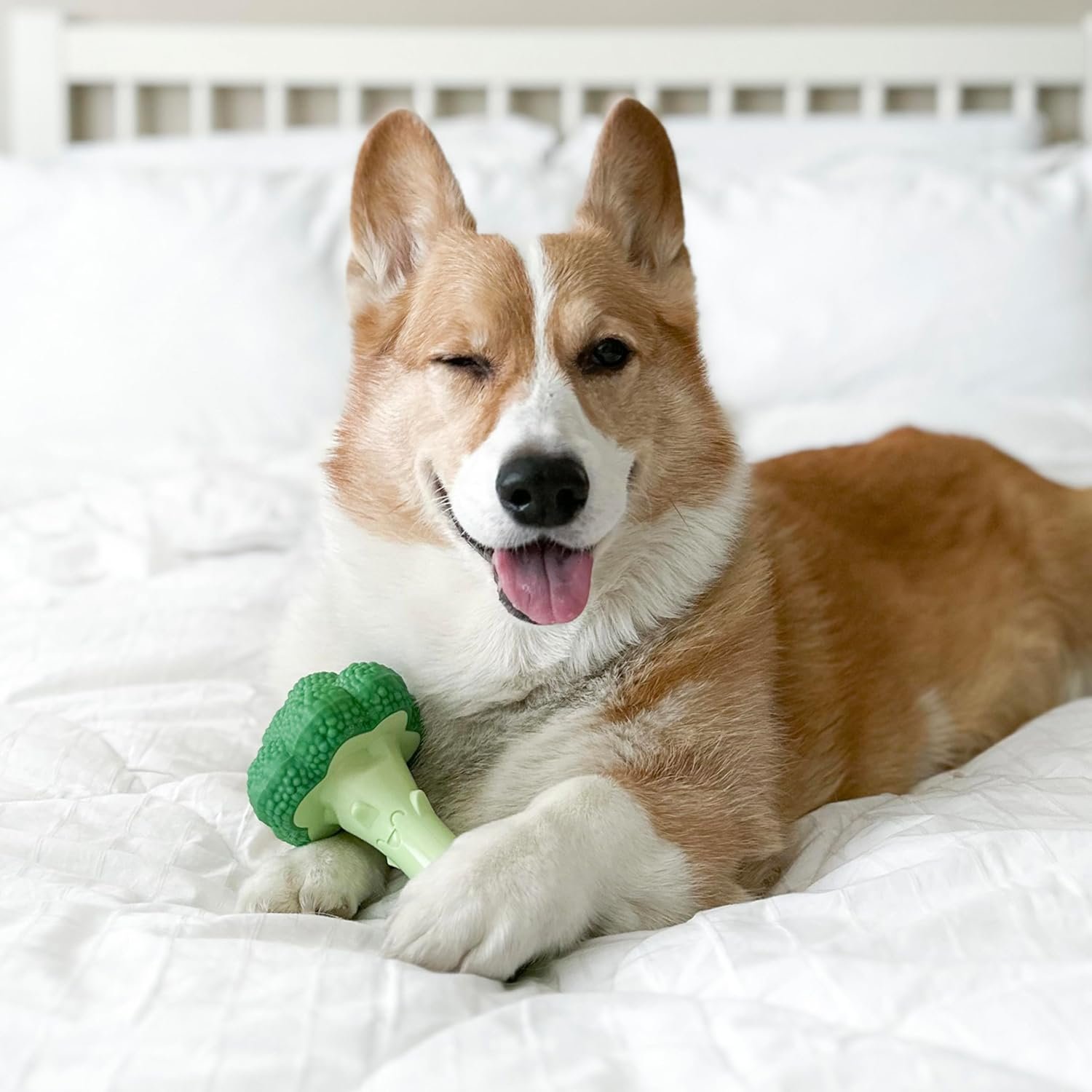 Nylabone Broccoli Power Chew Toy for Dogs, Dog Toys for Aggressive Chewers, Bacon & Cheese Flavor, Large Dogs - Up to 50 lbs