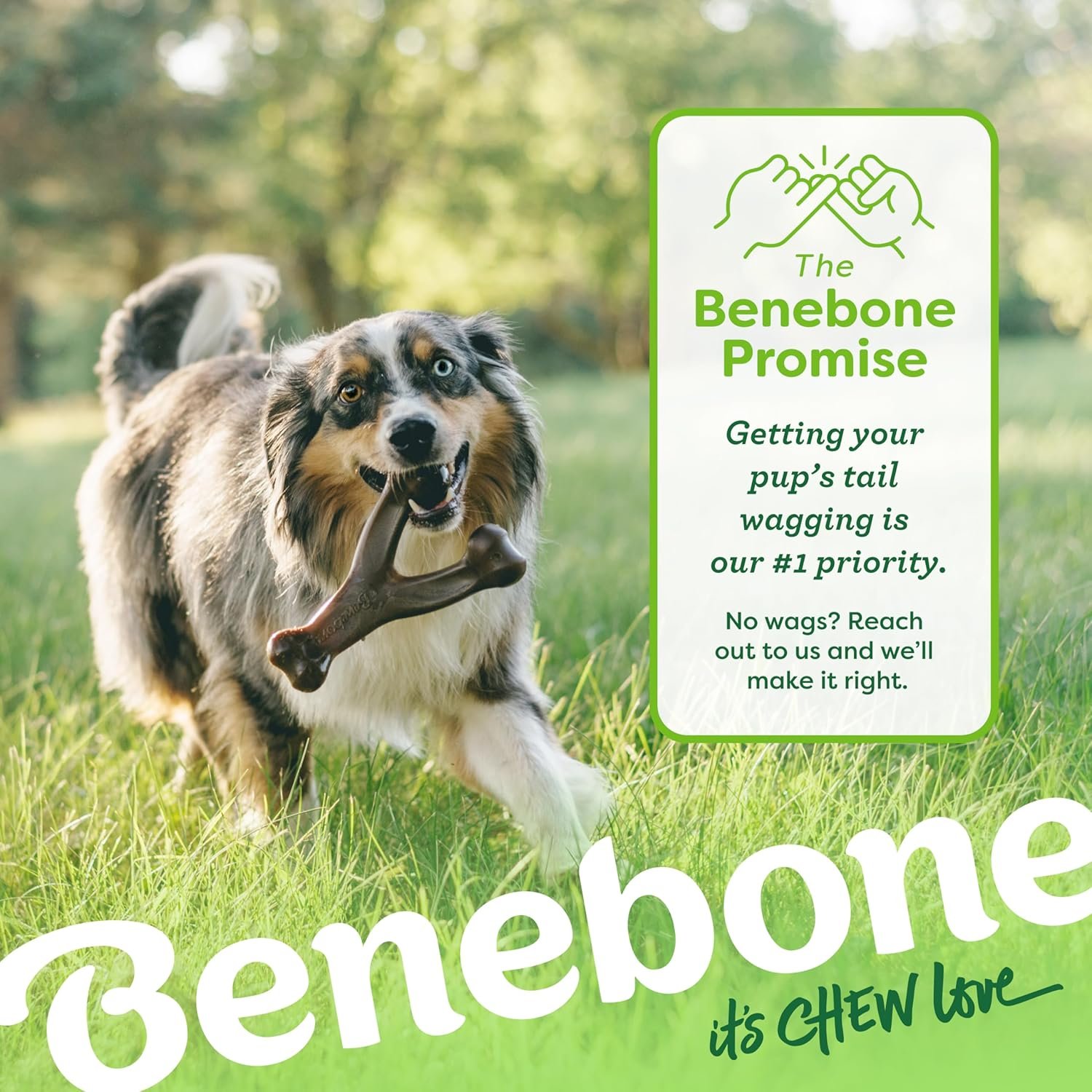 Benebone Wishbone Durable Dog Chew Toy for Aggressive Chewers, Made in USA, Large, Real Bacon Flavor