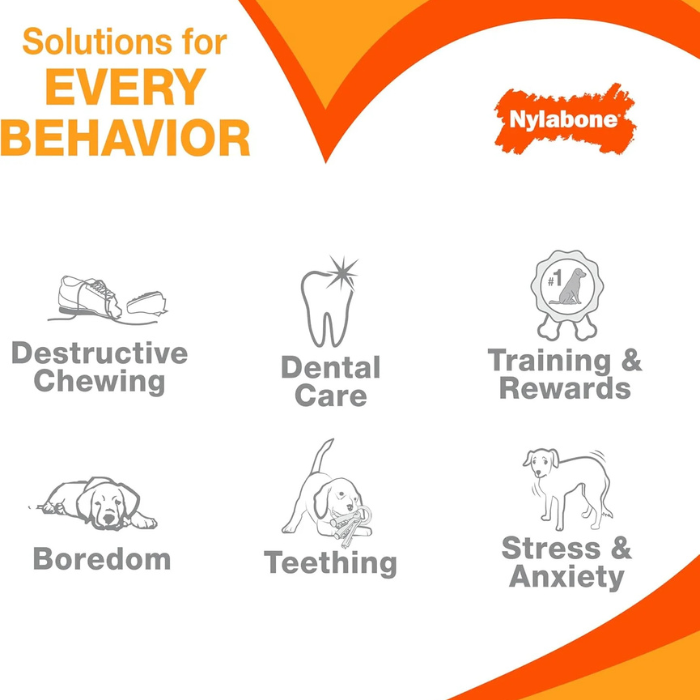 Nylabone Broccoli Power Chew Toy for Dogs, Dog Toys for Aggressive Chewers, Bacon & Cheese Flavor, Large Dogs - Up to 50 lbs